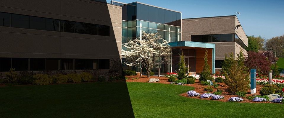 Chesapeake Landscapers