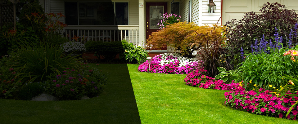 Chesapeake Landscapers